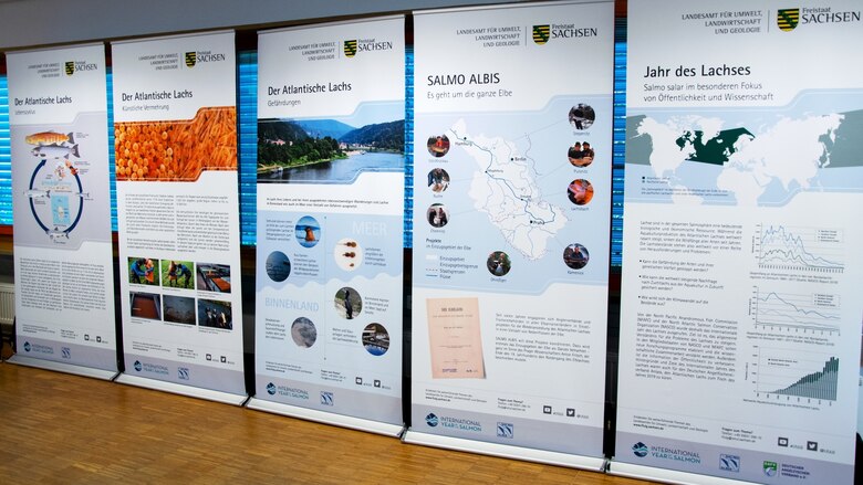 Foto der Wanderausstellung zum Lachs mit einer Reihe Schautafeln