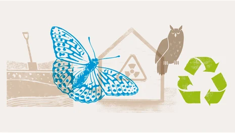 Umwelt Themenbereich Umwelt: Illustration mit Schmetterling, Eule, Bodenprofil, und Symbolen für Recycling und Strahlenschutz